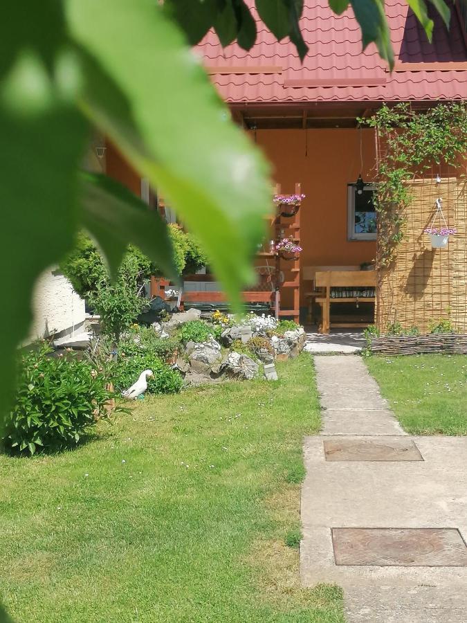Studio Apartman Krosna Perusic 外观 照片